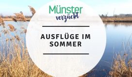 Ausflüge-im-Sommer-im-Münsterland